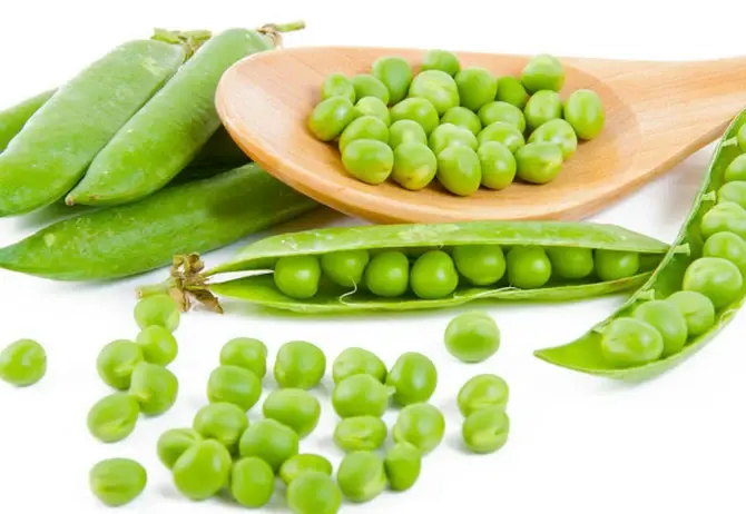 pea protein.webp